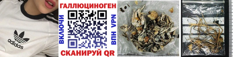 Псилоцибиновые грибы Psilocybe  Катайск 