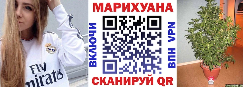 Конопля MAZAR что такое Катайск